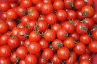tomatecerise.jpg